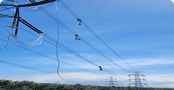 Distribution Utility Services