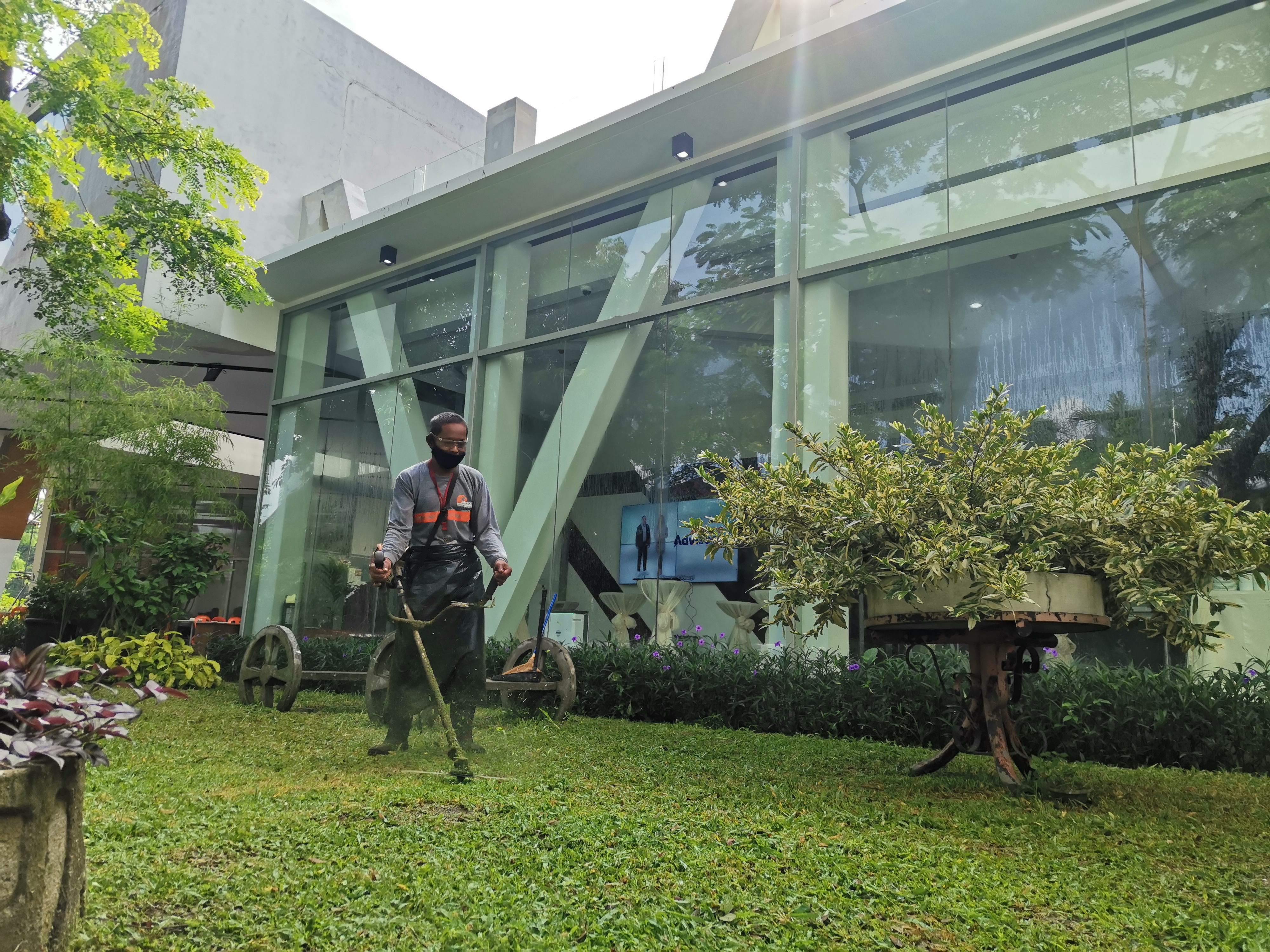 Distribution Utility Services